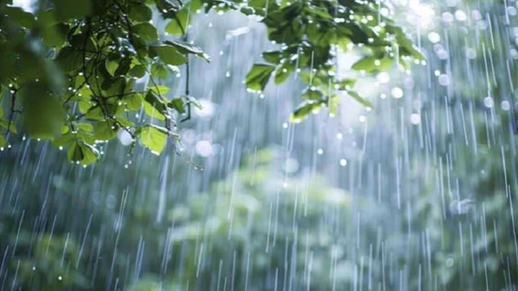 টানা পাঁচ দিন বৃষ্টি হতে পারে টানা পাঁচ দিন বৃষ্টি হতে পারে