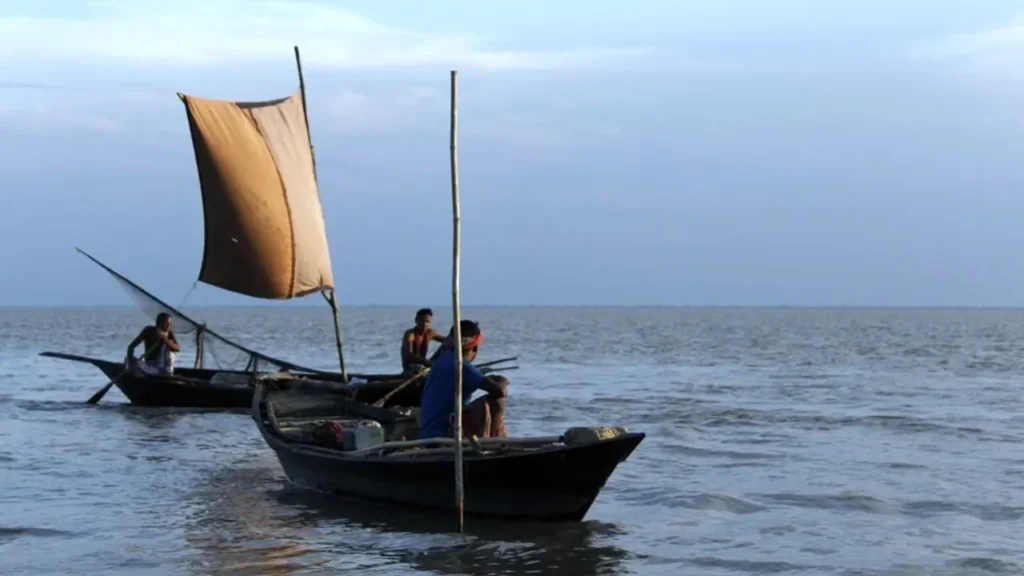 ভরা মৌসুমেও ইলিশ নেই, হতাশ জেলেরা ভরা মৌসুমেও ইলিশ নেই, হতাশ জেলেরা