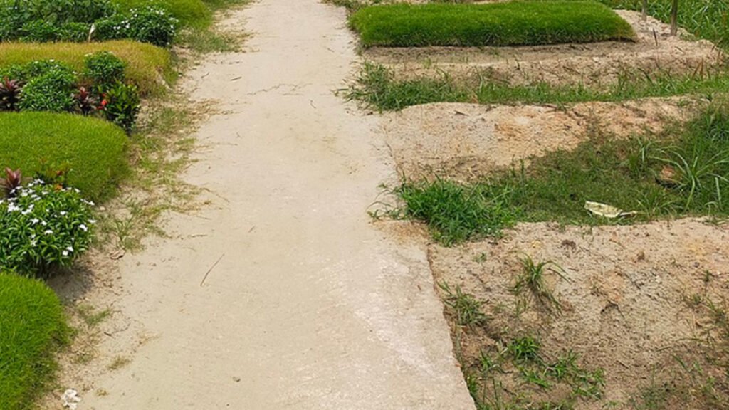 রায়েরবাজার থেকে মরদেহ তোলা হবে না আজ, কারণ জানায়নি ডিএমপি রায়েরবাজার থেকে মরদেহ তোলা হবে না আজ, কারণ জানায়নি ডিএমপি
