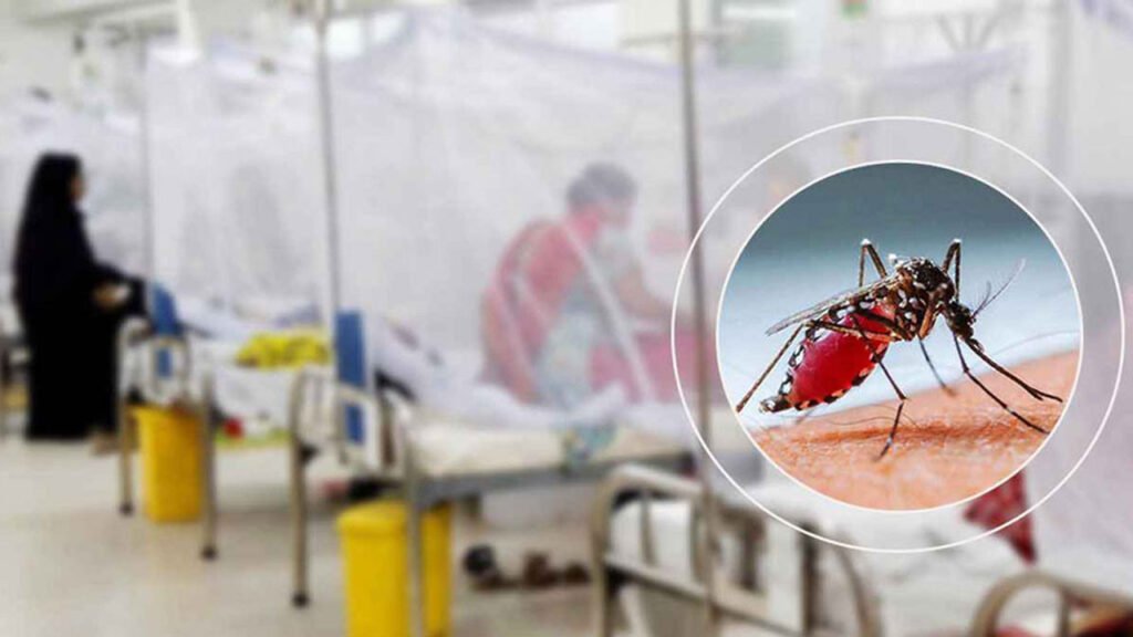 ২৪ ঘণ্টায় ডেঙ্গুতে ২ মৃত্যু, হাসপাতালে ৩৬৪