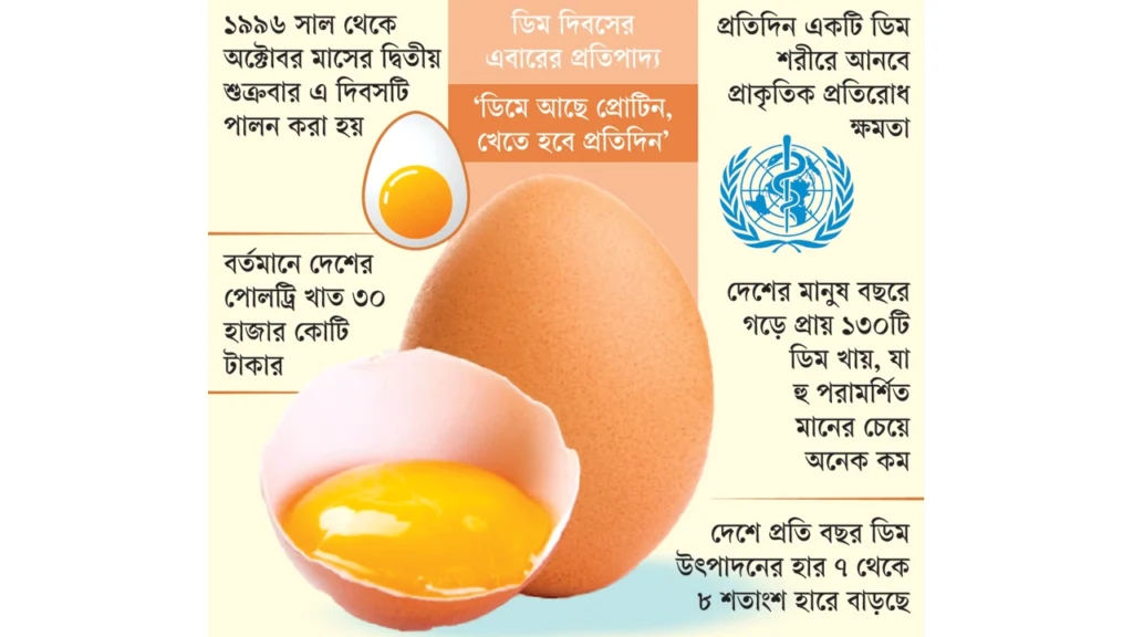 শুধু খাবার নয়, স্বাস্থ্যেও বড় বিনিয়োগ ডিম