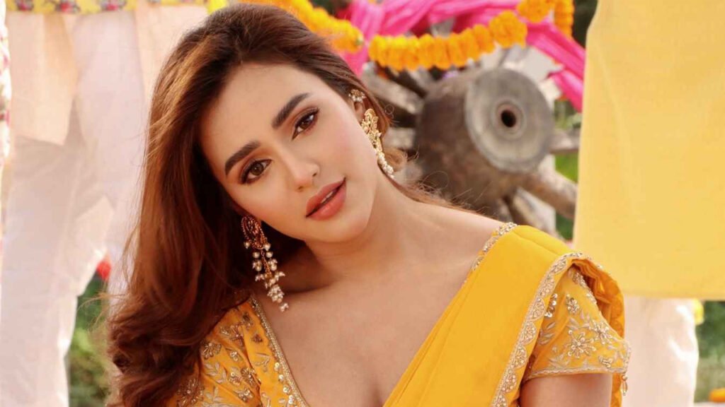 স্ক্রিনশট ফাঁস করে সতর্কবার্তা দিলেন নুসরাত ফারিয়া