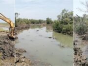 দলমত নির্বিশেষে ভাগ হলো সোনাদিয়ার প্যারাবন