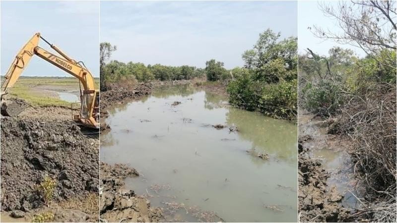 দলমত নির্বিশেষে ভাগ হলো সোনাদিয়ার প্যারাবন
