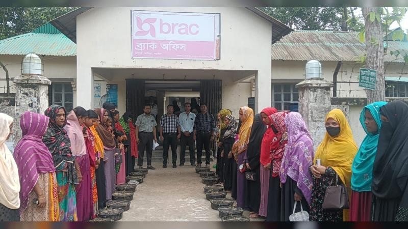নড়াইলে গ্রামীণ নারীদের মাঝে হাঁস-মুরগির বাচ্চা বিতরণ করল ব্র্যাক