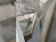 চালুর পরেই ব্রিজে ফাটল: হাতীবান্ধায় ১৩ কোটির প্রকল্পে অনিয়মের অভিযোগ