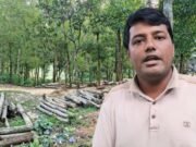 বুড়িচংয়ে সরকারি গাছ কাটার অভিযোগ
