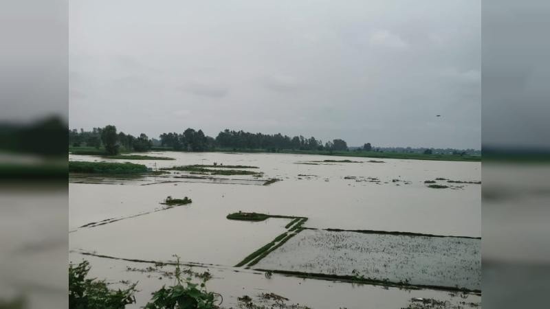 হু হু করে বাড়ছে দুধকুমার নদের পানি