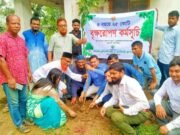 হালুয়াঘাটে বৃক্ষরোপণ কর্মসূচি পালন