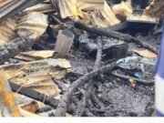 পাথরঘাটায় অগ্নিকান্ডে ৫ দোকান ভস্মীভূত