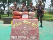ভূরুঙ্গামারীতে বিজিবির অভিযানে ৫৩ কেজি গাঁজা আটক