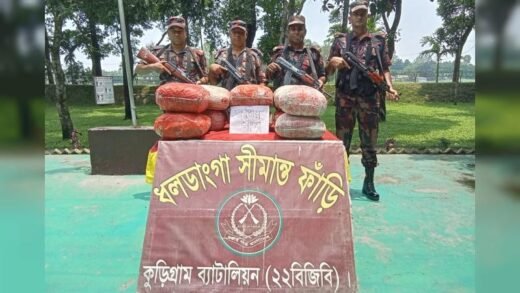 ভূরুঙ্গামারীতে বিজিবির অভিযানে ৫৩ কেজি গাঁজা আটক