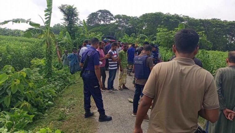 সালথায় পাটক্ষেতে হত্যা, সড়কের পাশে উদ্ধার যুবকের মরদেহ