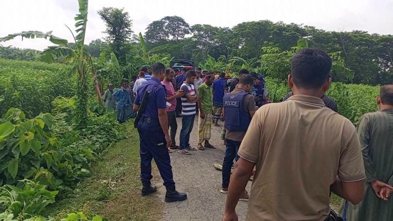 সালথায় পাটক্ষেতে হত্যা, সড়কের পাশে উদ্ধার যুবকের মরদেহ