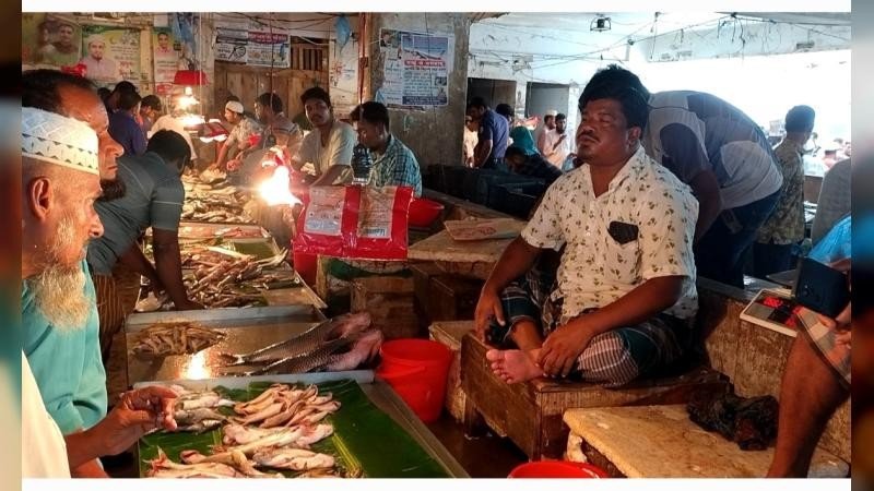 বরগুনায় অস্থির মাছের বাজার