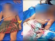 বরগুনার বামনায় পুকুরের ডুবে মামা-ভাগ্নের মৃত্যু