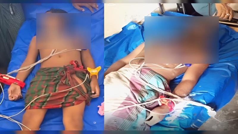 বরগুনার বামনায় পুকুরের ডুবে মামা-ভাগ্নের মৃত্যু