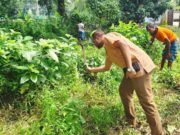 ময়মনসিংহে জেলা প্রশাসনের বিশেষ পরিচ্ছন্নতা অভিযান
