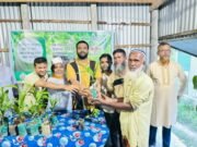 বিশ্ব পরিবেশ দিবসে বৃক্ষরোপণ ও চারা বিতরণ