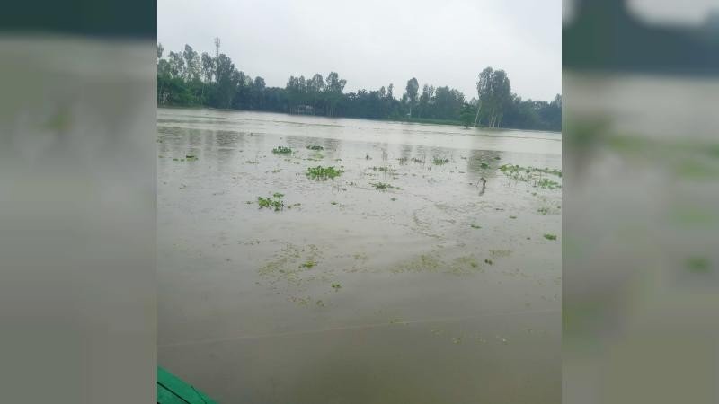 ভূরুঙ্গামারীতে বন‍‍্যায় নিম্নাঞ্চল প্লাবিত, পানি বন্দী ৩ হাজার মানুষ 
