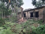 নিজের জমির গাছ কাটতে বাধার মুখে বিএনপি নেতা মন্টু- পেয়েছেন প্রাণনাশের হুমকি
