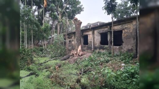 নিজের জমির গাছ কাটতে বাধার মুখে বিএনপি নেতা মন্টু- পেয়েছেন প্রাণনাশের হুমকি