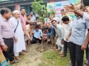 বগুড়ার শেরপুরে বিভিন্ন শিক্ষাপ্রতিষ্ঠানে বৃক্ষরোপণ কর্মসূচি পালন