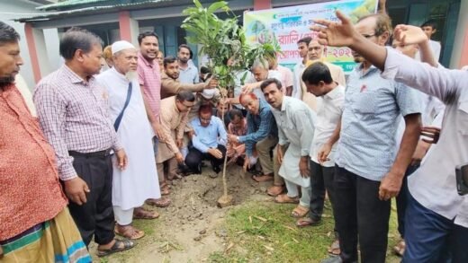 বগুড়ার শেরপুরে বিভিন্ন শিক্ষাপ্রতিষ্ঠানে বৃক্ষরোপণ কর্মসূচি পালন