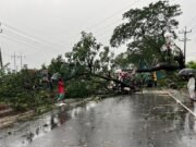 দুপুরের মধ্যে ঢাকাসহ ১৪ জেলায় ব্যাপক ঝড়-বৃষ্টির শঙ্কা