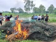 ঝিনাই নদীতে অবৈধ জালবিরোধী মোবাইল কোর্ট, ৩০০ মিটার জাল জব্দ