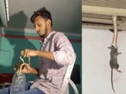 একের পর এক এসি থেকে সাপ উদ্ধার: আতঙ্ক নয়, জানুন কারণ