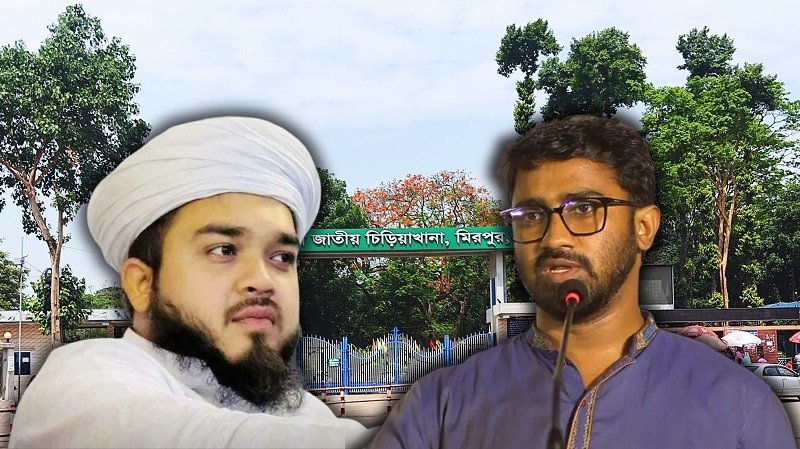 এমপি হানজালাকে চিড়িয়াখানায় রাখা হোক: রাশেদ খান