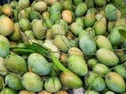 মিষ্টি ও রসালো আম চিনবেন যেভাবে