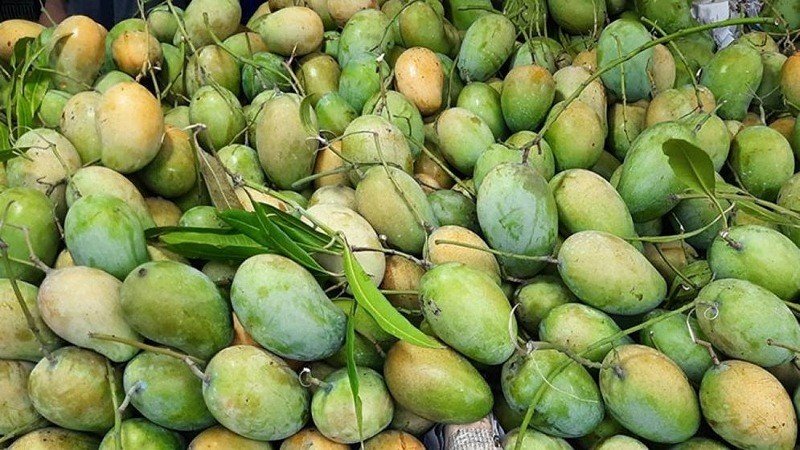 মিষ্টি ও রসালো আম চিনবেন যেভাবে