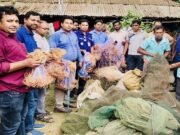 নাটোরে ২০ লক্ষাধিক টাকা মূল্যের অবৈধ চায়না দুয়ারী ও কারেন্ট জাল জব্দ