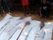 ছাগল ছানা তুলতে গিয়ে প্রাণ গেল বাবা-ছেলেসহ ৪ জনের