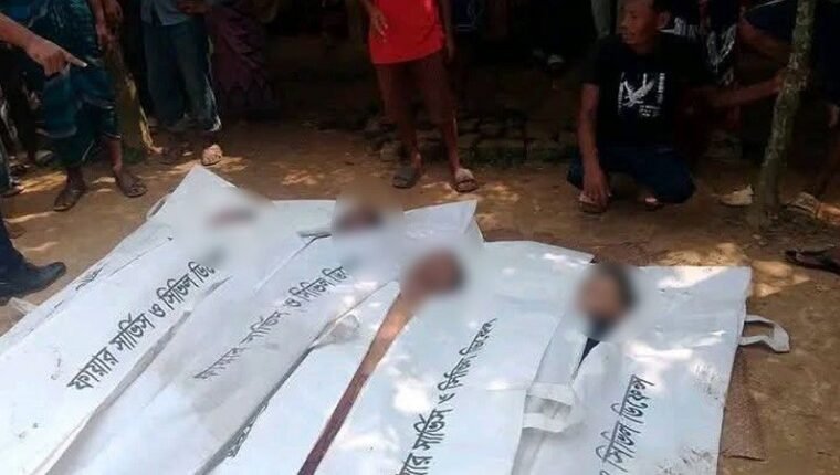 ছাগল ছানা তুলতে গিয়ে প্রাণ গেল বাবা-ছেলেসহ ৪ জনের