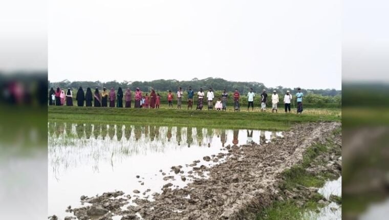 রাতের আঁধারে সরকারি রাস্তা কেটে ফসলি জমি