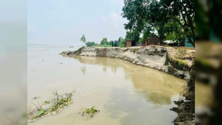 যমুনার ভাঙনে নাগরপুরে অর্ধশত বাড়ি ও মসজিদ বিলীন, আতঙ্কে সহস্রাধিক পরিবার