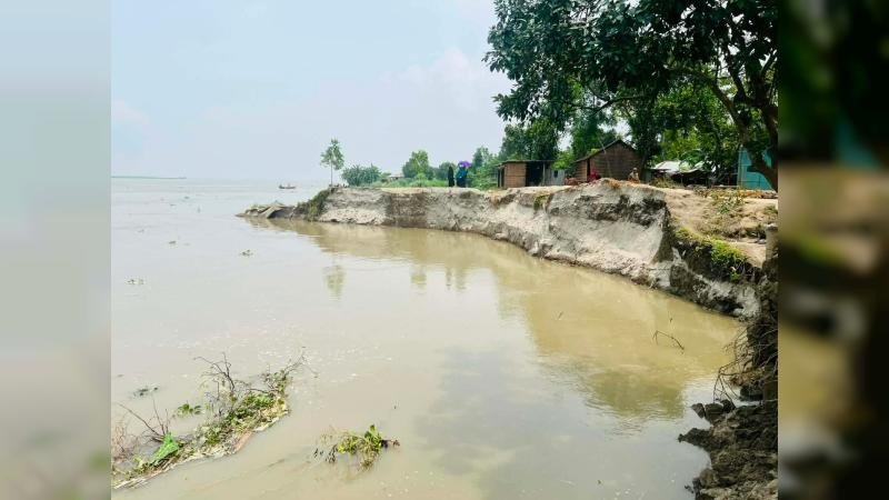 যমুনার ভাঙনে নাগরপুরে অর্ধশত বাড়ি ও মসজিদ বিলীন, আতঙ্কে সহস্রাধিক পরিবার