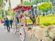 ৩৮ বছরের কর্মজীবনের ইতি, ঘোড়ার গাড়ি-লাল গালিচায় বিদায় বাকৃবি অধ্যাপকের