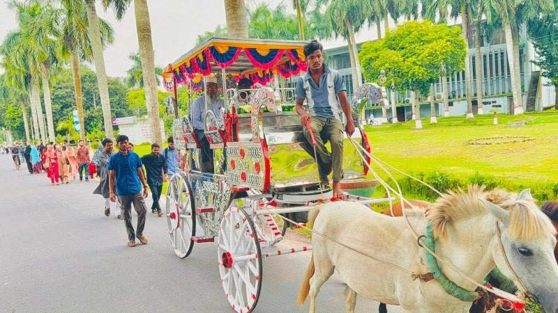 ৩৮ বছরের কর্মজীবনের ইতি, ঘোড়ার গাড়ি-লাল গালিচায় বিদায় বাকৃবি অধ্যাপকের