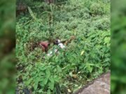 টাঙ্গাইলের সখীপুরে নিখোঁজ বিধবার অর্ধগলিত লাশ উদ্ধার