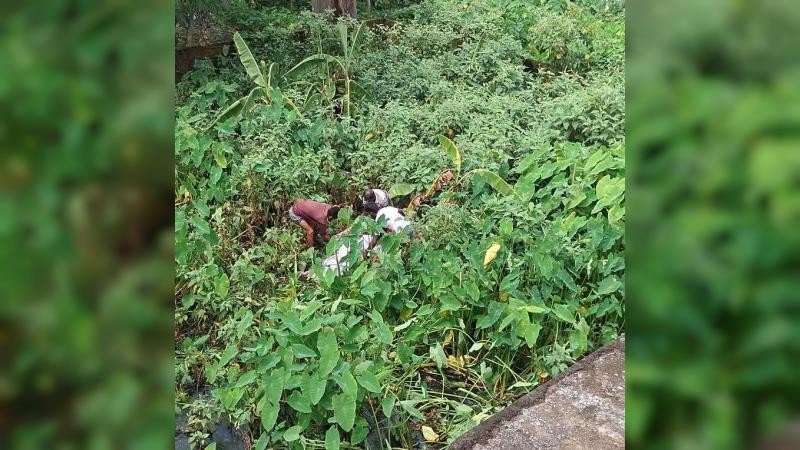 টাঙ্গাইলের সখীপুরে নিখোঁজ বিধবার অর্ধগলিত লাশ উদ্ধার