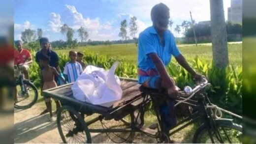 শেরপুরে ধানক্ষেত থেকে ইজিবাইক চালকের মরদেহ উদ্ধার