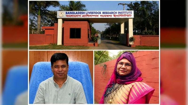 পুনর্বাসনের চেষ্টায় বিএলআরআই-এর সাবেক ডিজি ও তাঁর স্ত্রীর