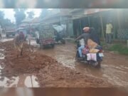 নাগরপুরে বিএনপি নেতার উদ্যোগে রাস্তা সংস্কার
