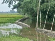 খাল খননে অনিয়ম, শ্রমিকের তালিকায় বিএনপি নেতার মোবাইল নম্বর