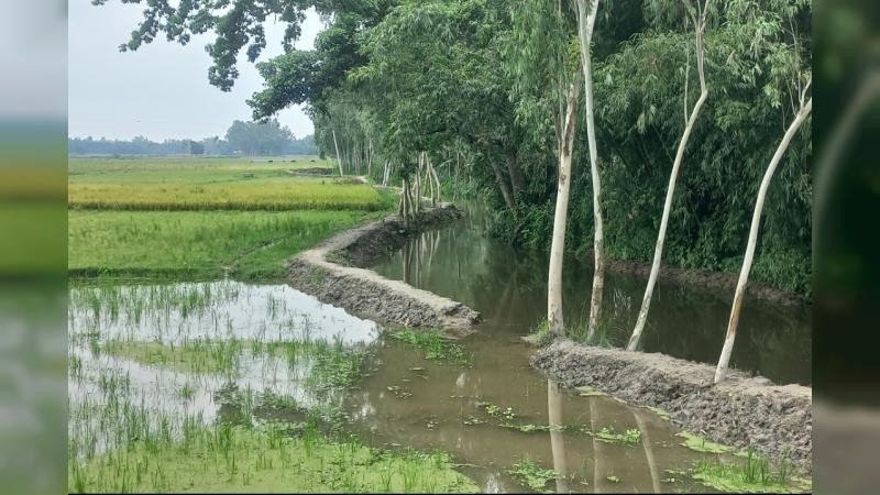 খাল খননে অনিয়ম, শ্রমিকের তালিকায় বিএনপি নেতার মোবাইল নম্বর