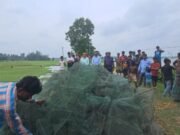 গোপালপুরের ডগা বিলে অভিযান, এক হাজার মিটার অবৈধ চায়না জাল জব্দ